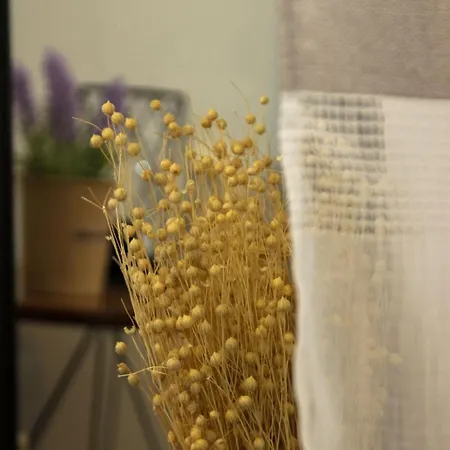 Johnny's كافالا